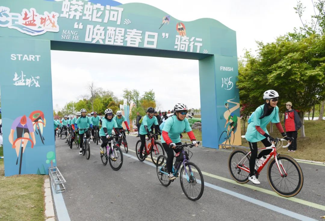 大纵湖,盐城文旅,大纵湖文旅,文旅集团,景点,旅游景区