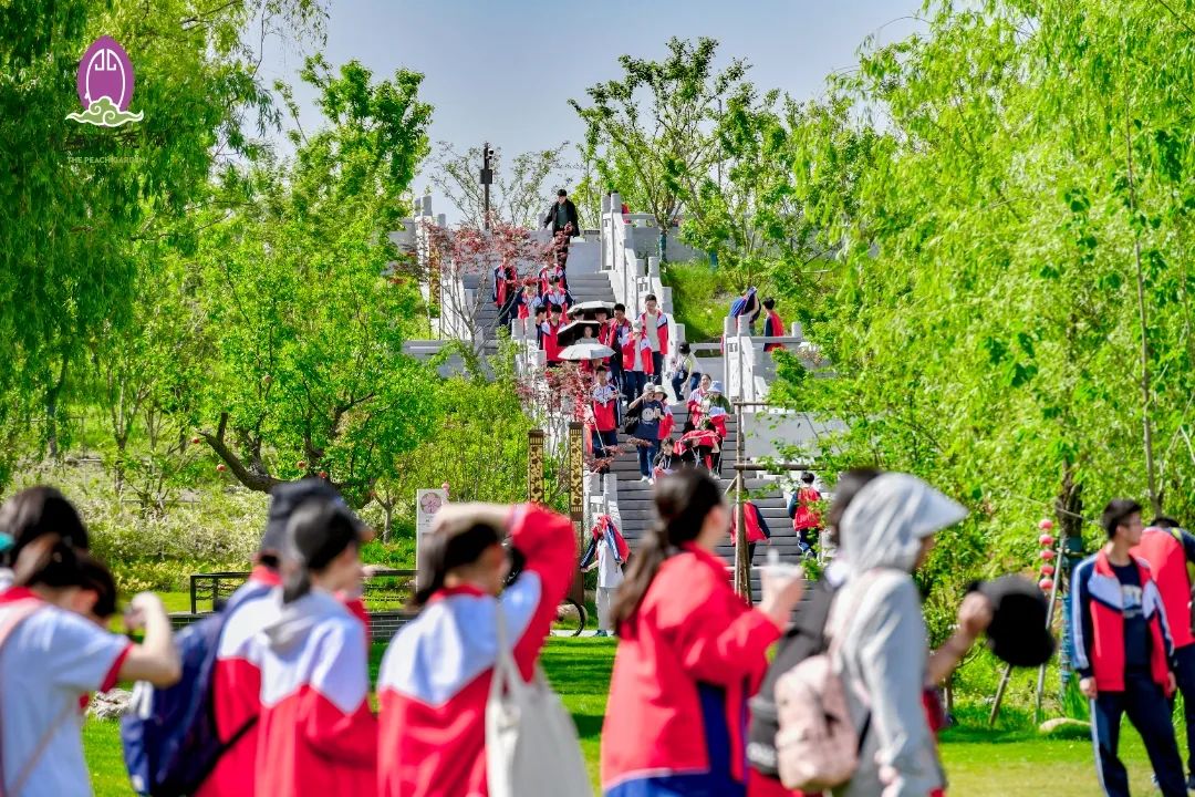 大纵湖,盐城文旅,大纵湖文旅,文旅集团,景点,旅游景区