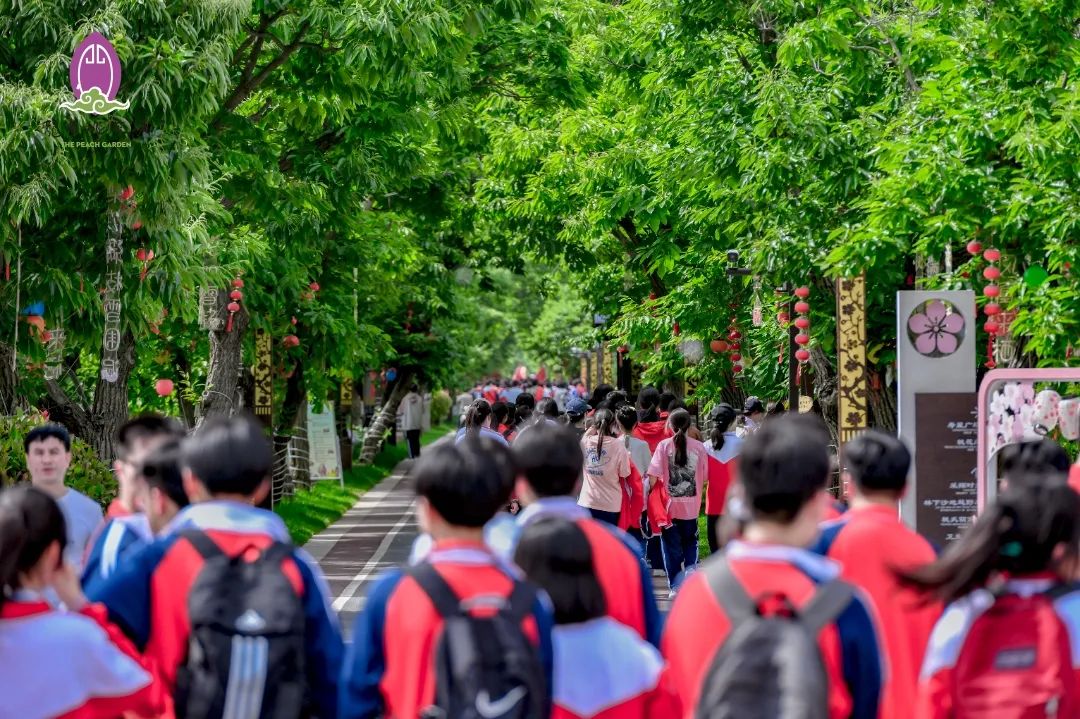 大纵湖,盐城文旅,大纵湖文旅,文旅集团,景点,旅游景区