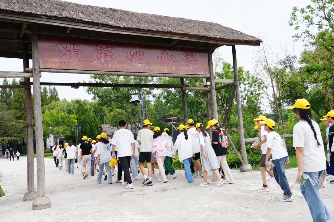 大纵湖,盐城文旅,大纵湖文旅,文旅集团,景点,旅游景区