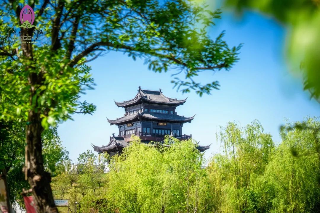 大纵湖,盐城文旅,大纵湖文旅,文旅集团,景点,旅游景区