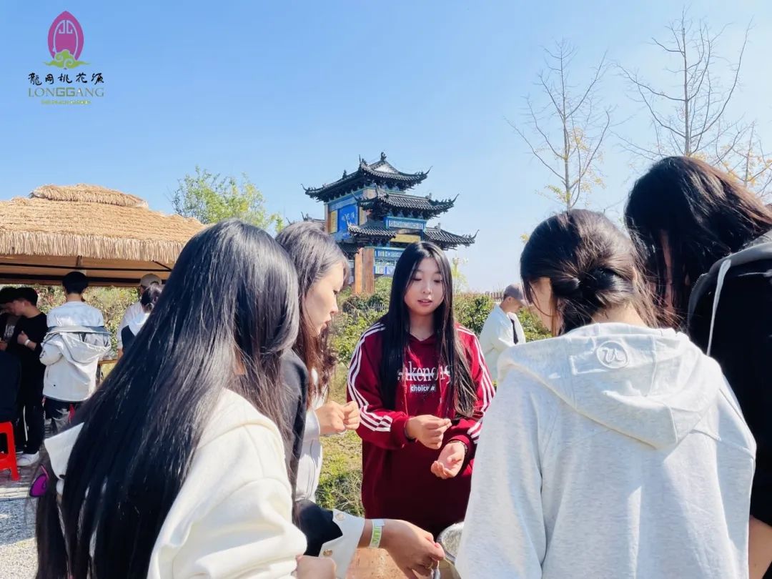 大纵湖,盐城文旅,大纵湖文旅,文旅集团,景点,旅游景区