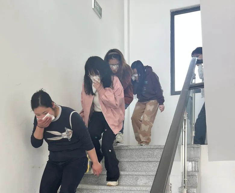 大纵湖,盐城文旅,大纵湖文旅,文旅集团,景点,旅游景区