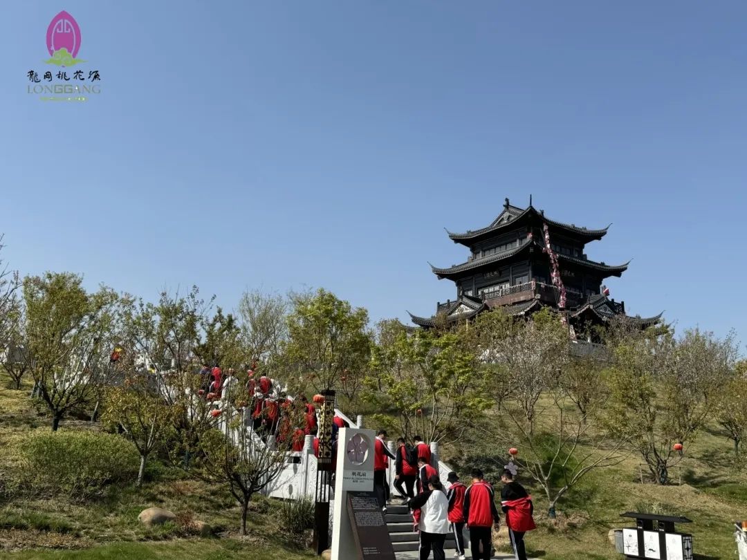 大纵湖,盐城文旅,大纵湖文旅,文旅集团,景点,旅游景区