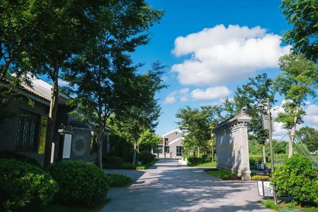 大纵湖,盐城文旅,大纵湖文旅,文旅集团,景点,旅游景区