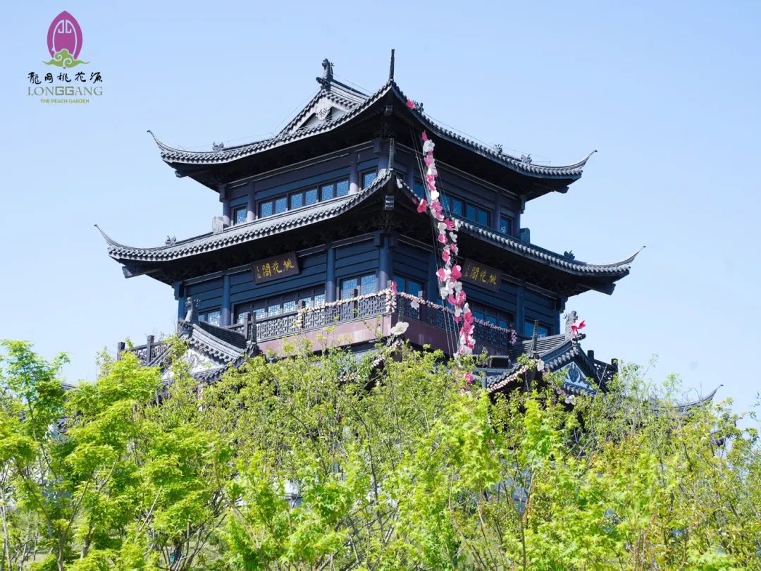 大纵湖,盐城文旅,大纵湖文旅,文旅集团,景点,旅游景区
