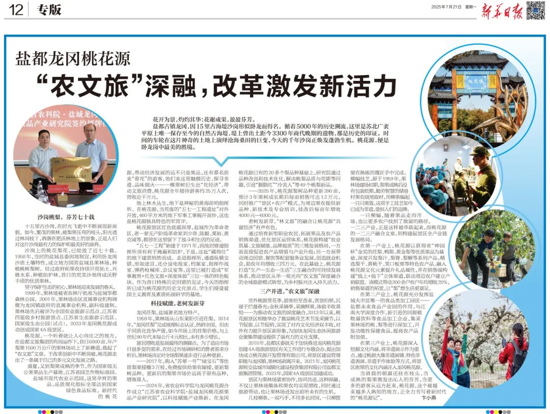 大纵湖,盐城文旅,大纵湖文旅,文旅集团,景点,旅游景区