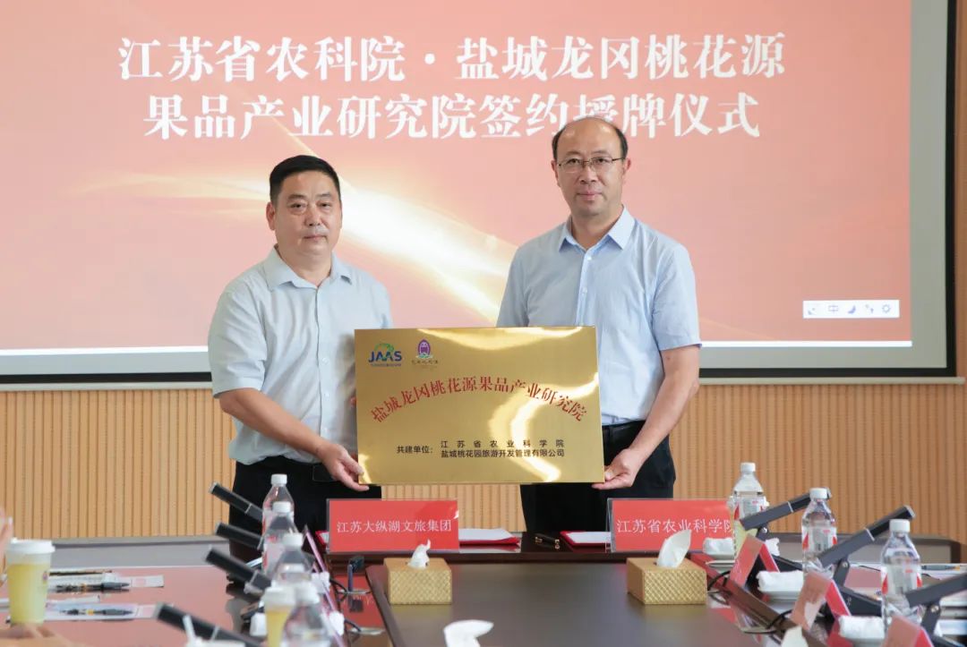 大纵湖,盐城文旅,大纵湖文旅,文旅集团,景点,旅游景区