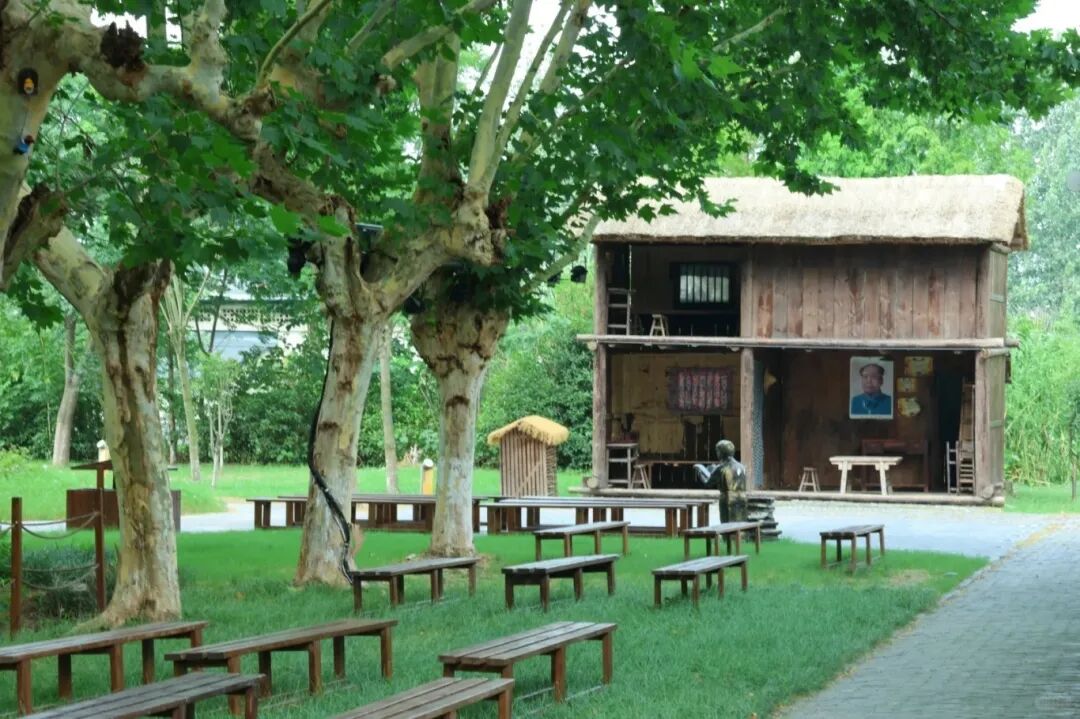 大纵湖,盐城文旅,大纵湖文旅,文旅集团,景点,旅游景区