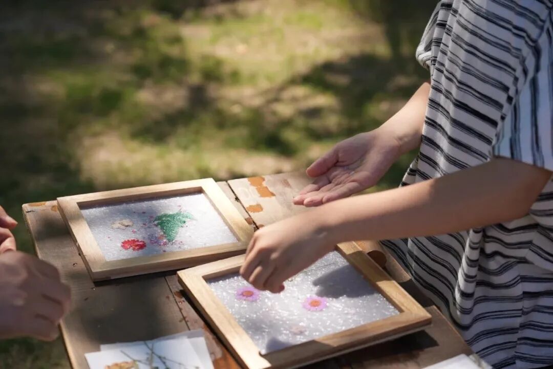 大纵湖,盐城文旅,大纵湖文旅,文旅集团,景点,旅游景区