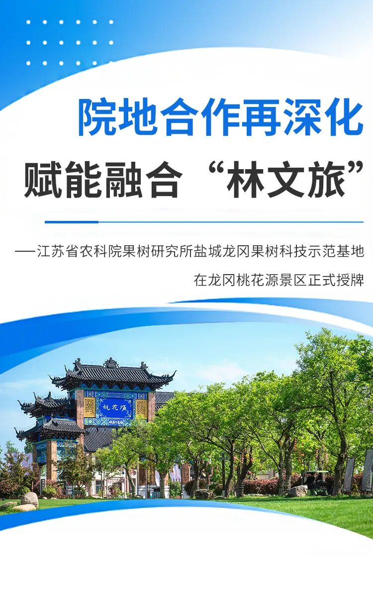 大纵湖,盐城文旅,大纵湖文旅,文旅集团,景点,旅游景区