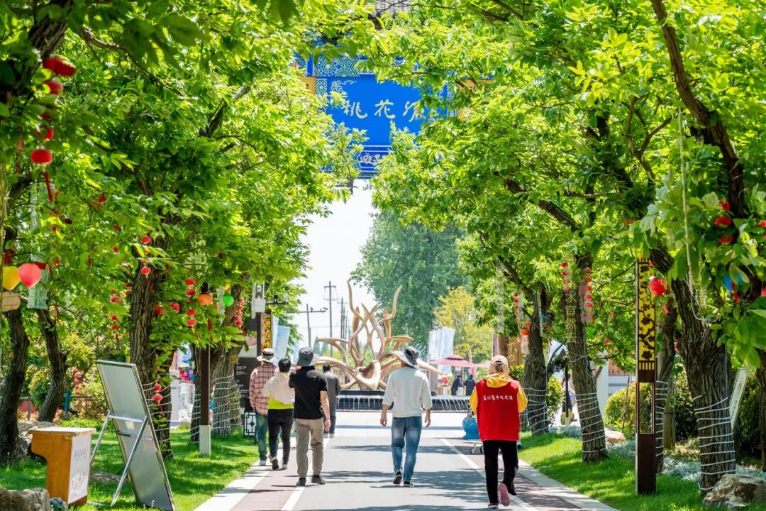 大纵湖,盐城文旅,大纵湖文旅,文旅集团,景点,旅游景区 大纵湖,盐城文旅,大纵湖文旅,文旅集团,景点,旅游景区