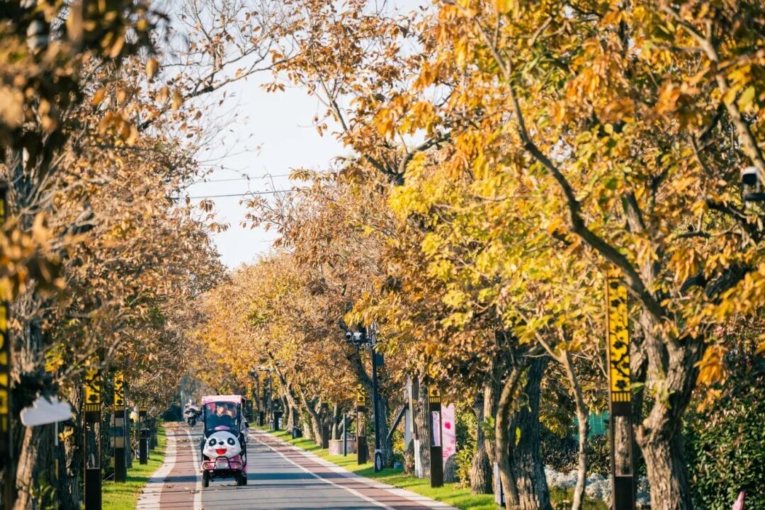 大纵湖,盐城文旅,大纵湖文旅,文旅集团,景点,旅游景区 大纵湖,盐城文旅,大纵湖文旅,文旅集团,景点,旅游景区